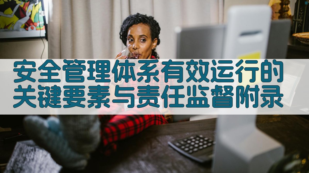 安全管理体系有效运行的关键要素与责任监督 · 附录 图5