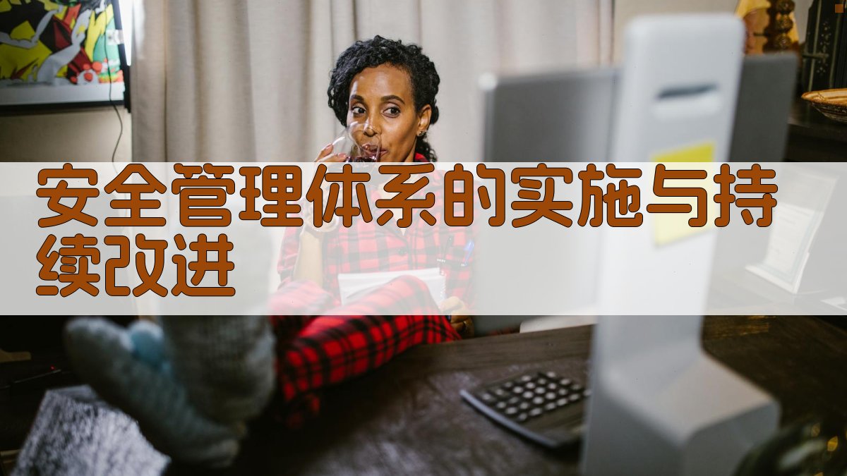 安全管理体系的实施与持续改进 图4