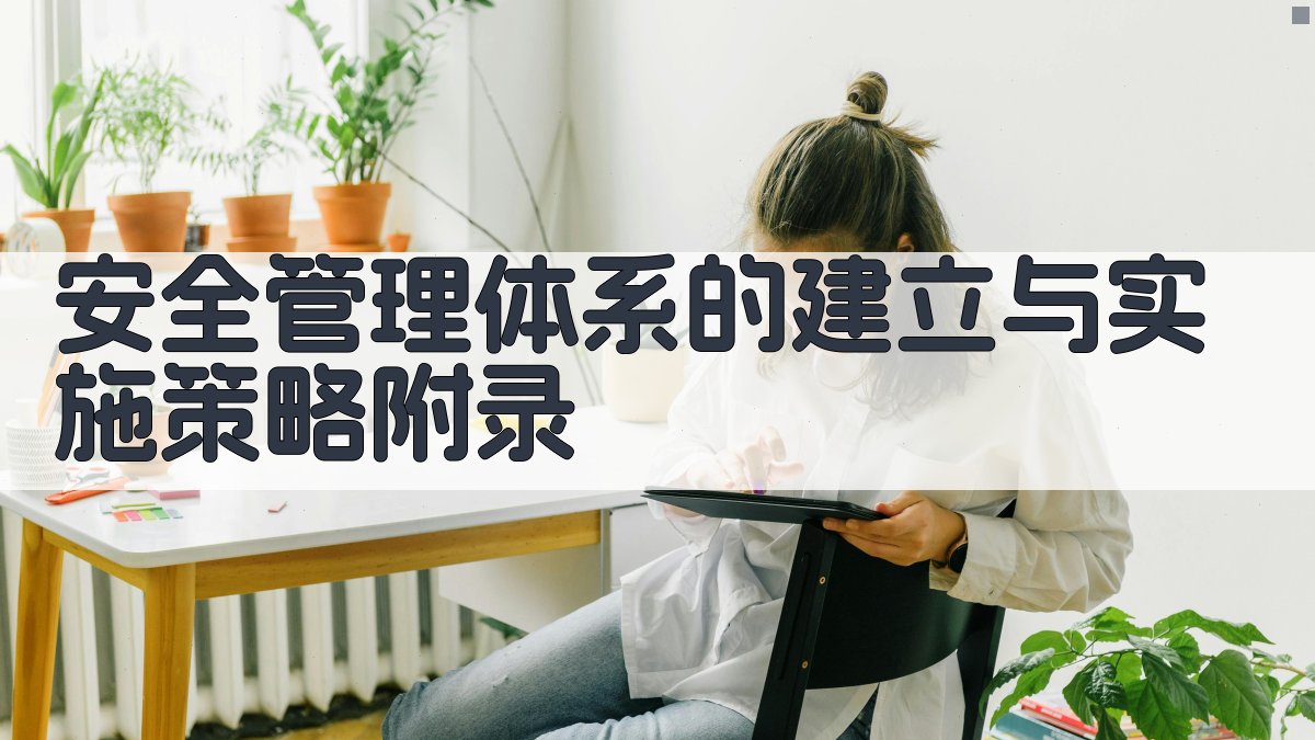 安全管理体系的建立与实施策略 · 附录 图4