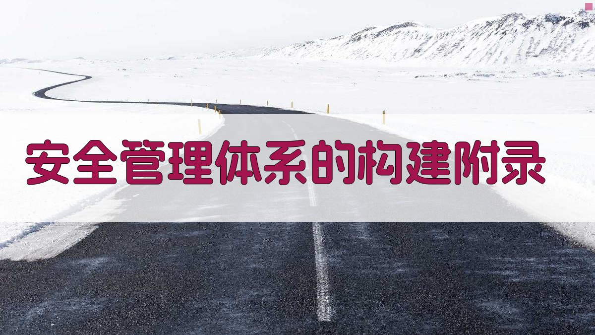 安全管理体系的构建 · 附录 图5