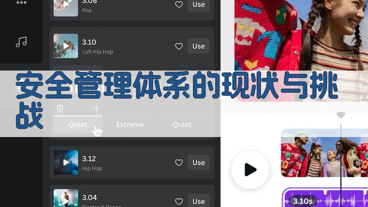 安全管理体系的现状与挑战 图1