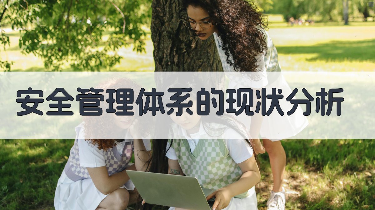 安全管理体系的现状分析 图1