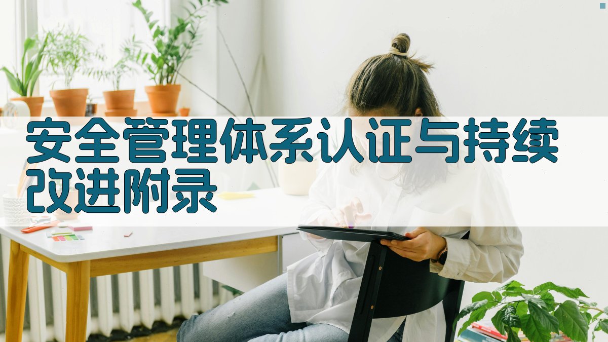 安全管理体系认证与持续改进 · 附录 图2