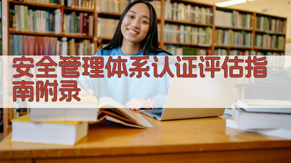 安全管理体系认证评估指南 · 附录 图1