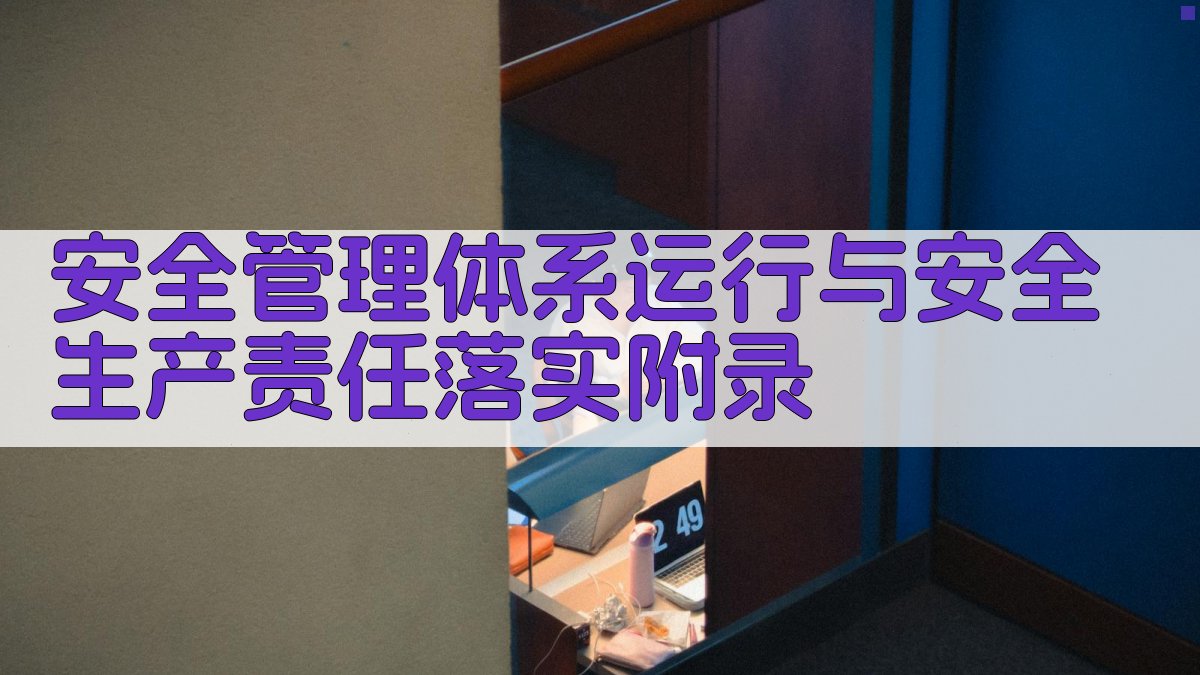 安全管理体系运行与安全生产责任落实 · 附录 图5