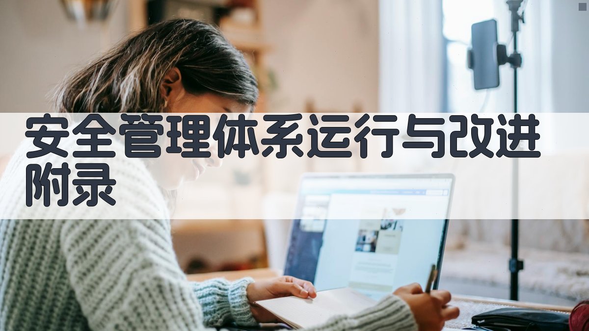 安全管理体系运行与改进 · 附录 图3