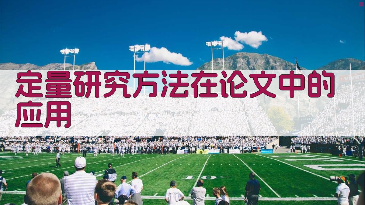 定量研究方法在论文中的应用 图3