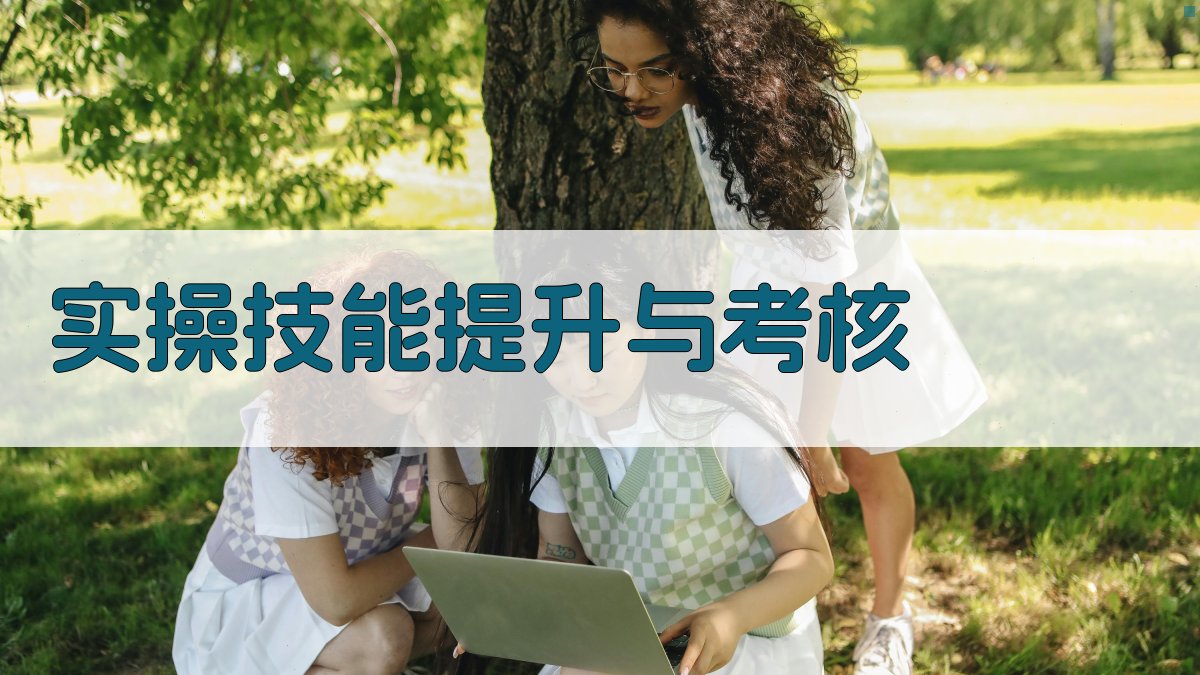 实操技能提升与考核 图4