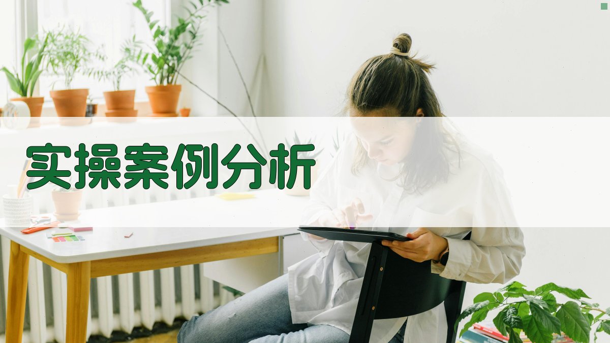实操案例分析 图3