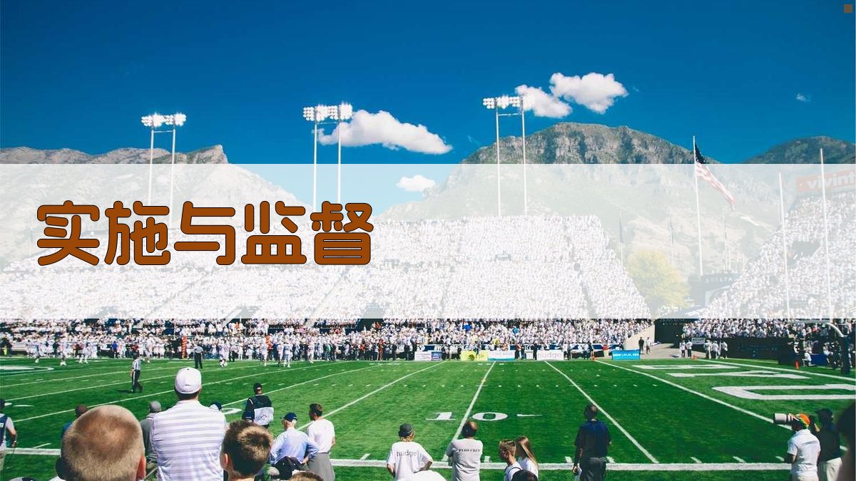 实施与监督 图3