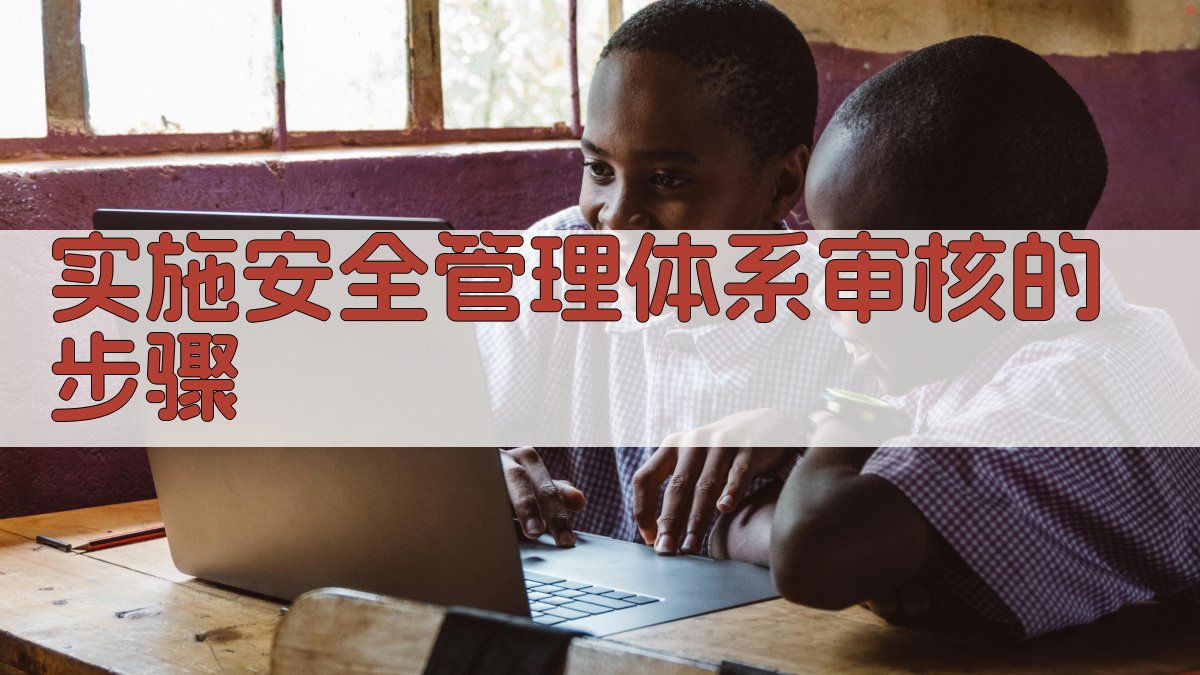 实施安全管理体系审核的步骤 图2