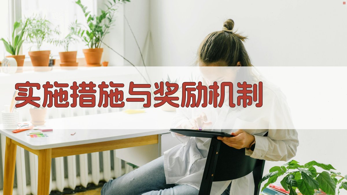 实施措施与奖励机制 图3