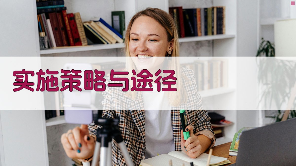 实施策略与途径 图2