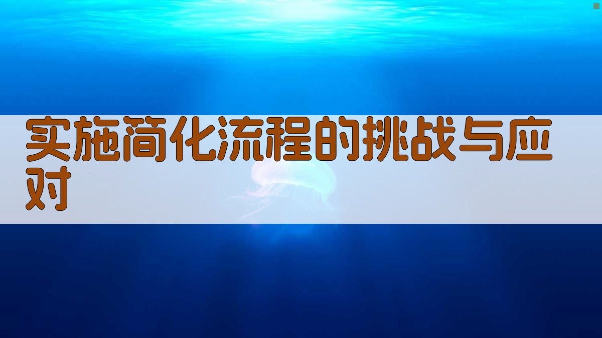 实施简化流程的挑战与应对 图1