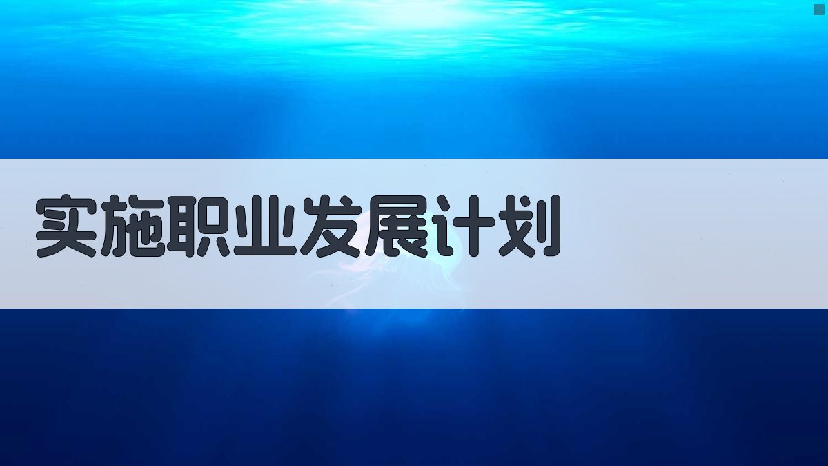 实施职业发展计划 图2
