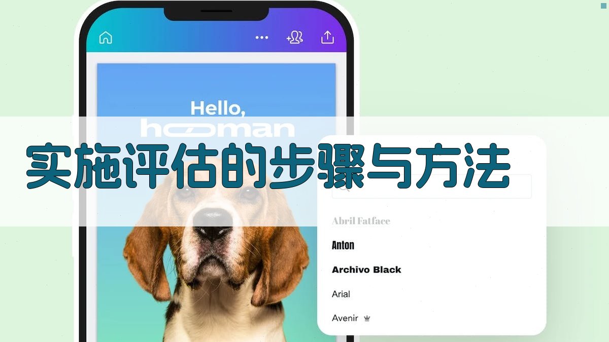 实施评估的步骤与方法 图2