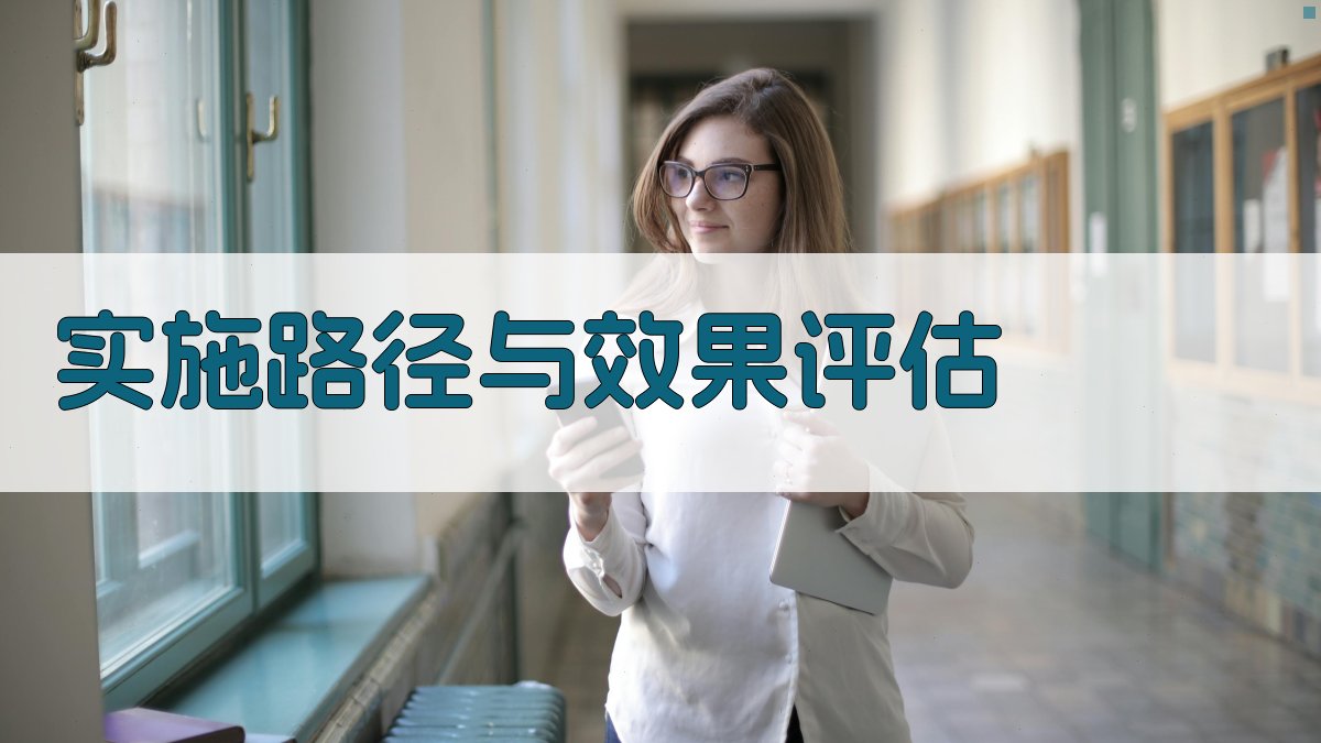 实施路径与效果评估 图1