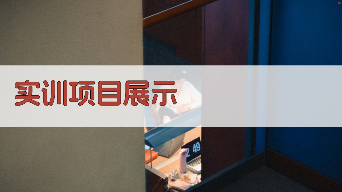 实训项目展示 图2