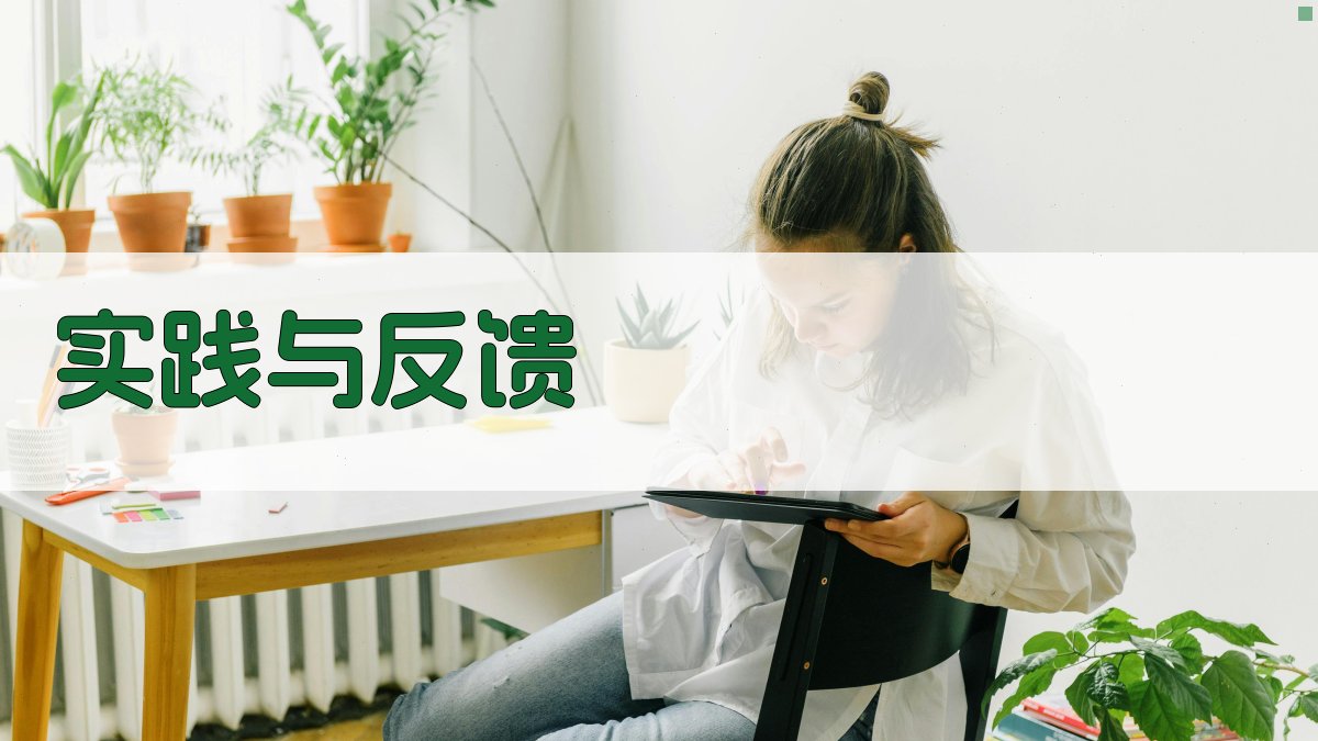 实践与反馈 图3