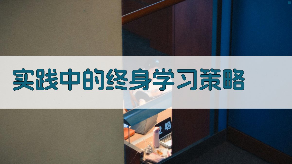 实践中的终身学习策略 图3