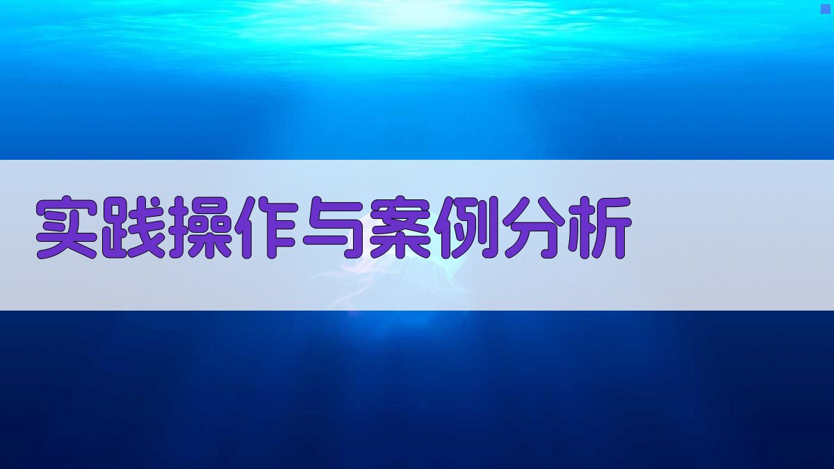 实践操作与案例分析 图2