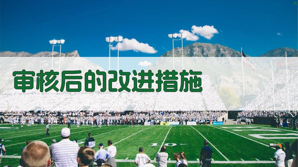 审核后的改进措施 图3