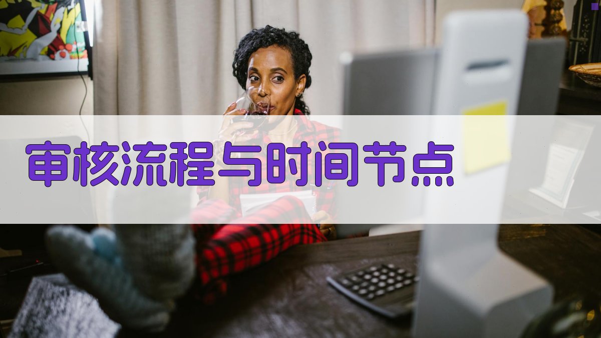 审核流程与时间节点 图2