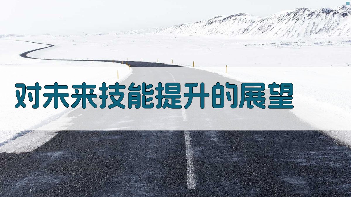 对未来技能提升的展望 图4