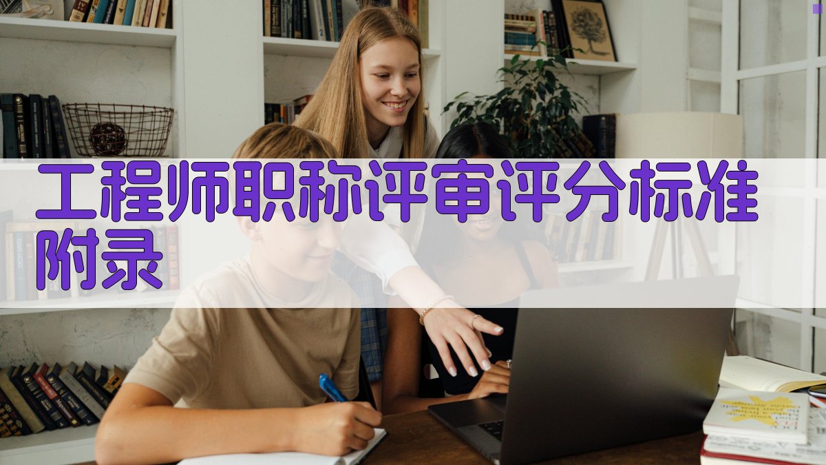 工程师职称评审评分标准 · 附录 图5