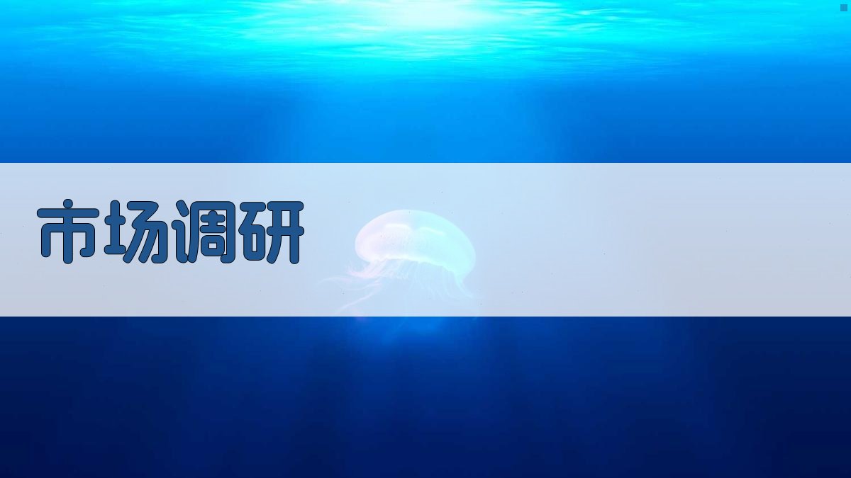 市场调研 图1