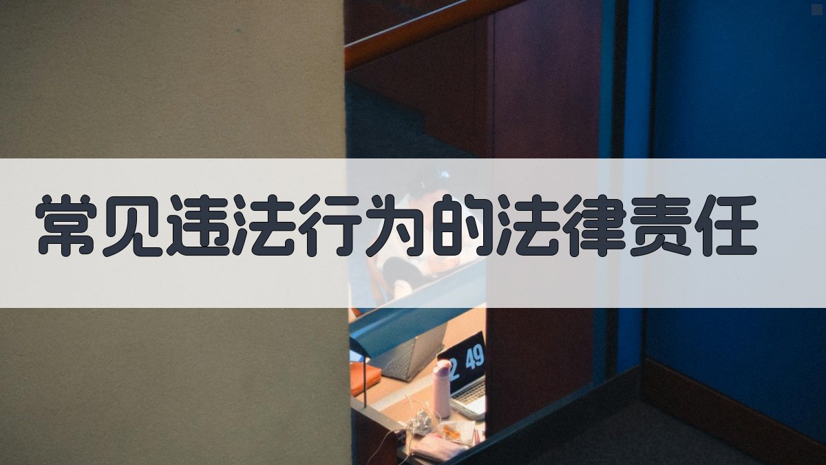 常见违法行为的法律责任 图3