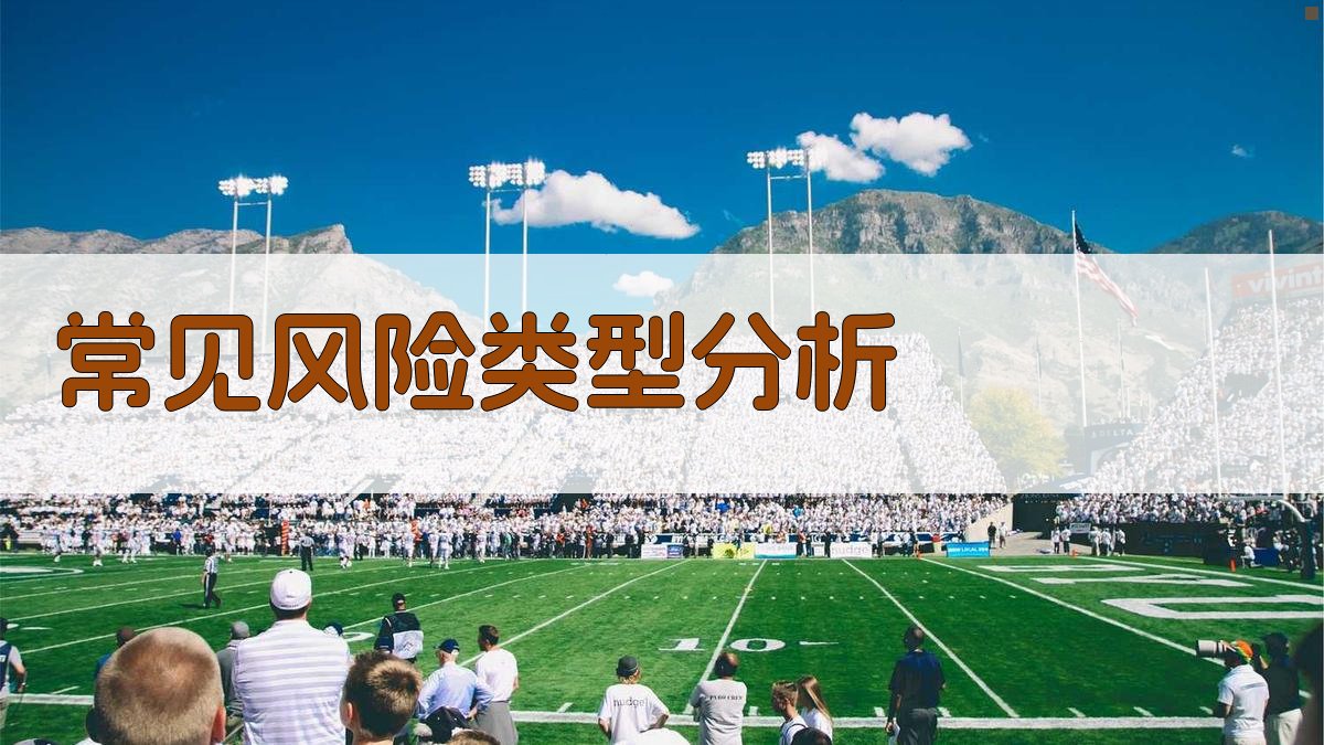 常见风险类型分析 图1