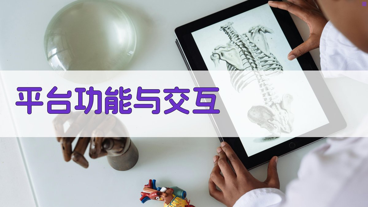 平台功能与交互 图3