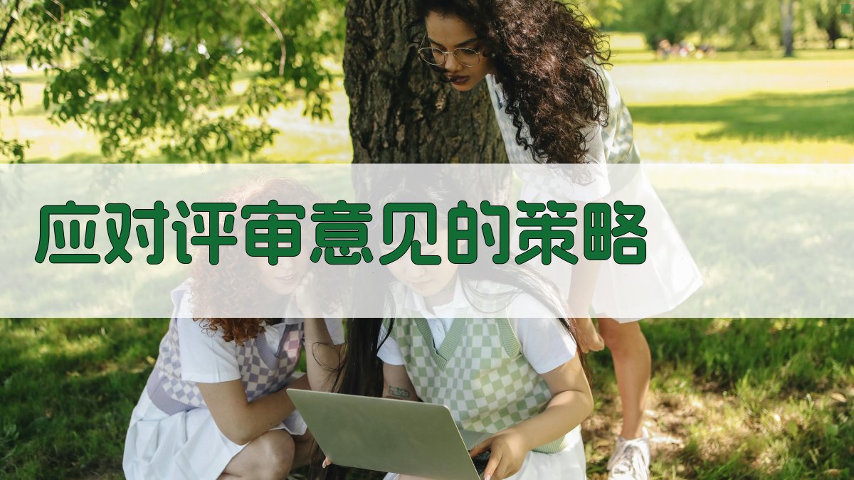 应对评审意见的策略 图1