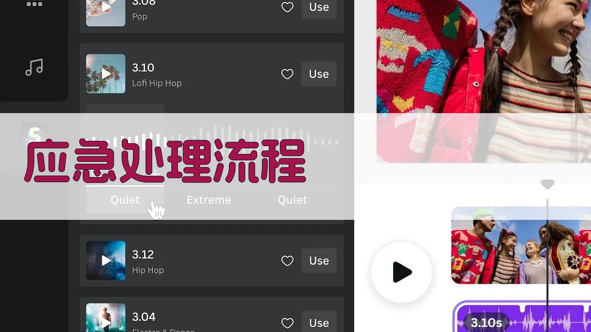 应急处理流程 图2