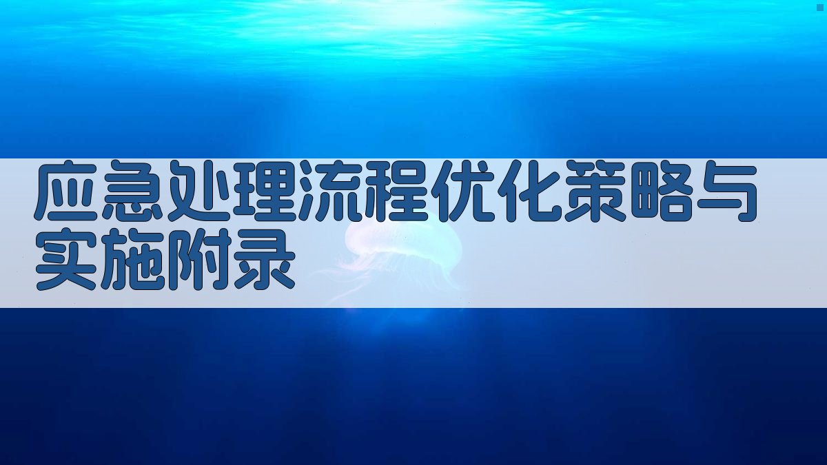 应急处理流程优化策略与实施 · 附录 图4