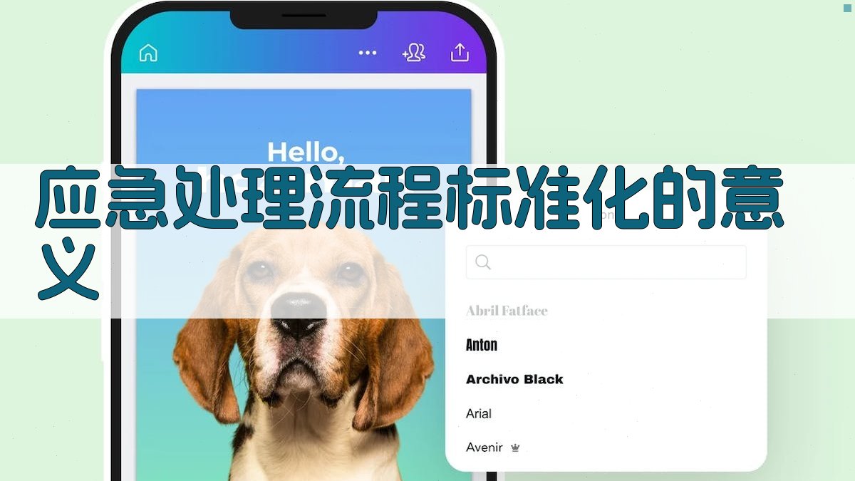 应急处理流程标准化的意义 图1