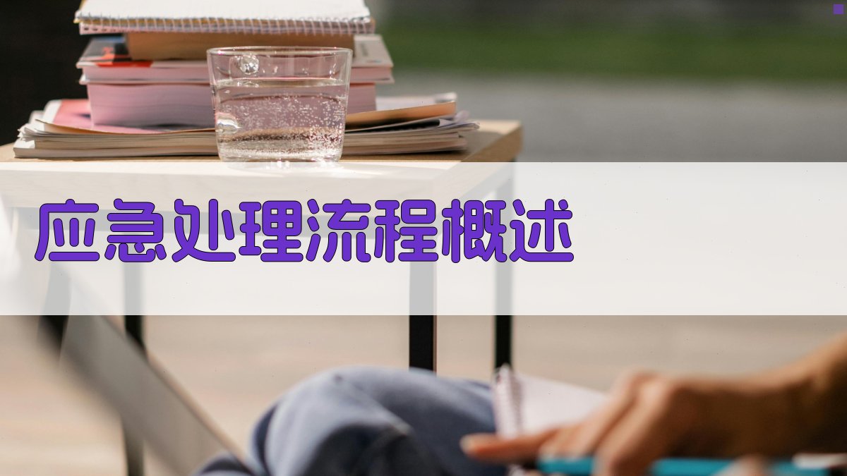 应急处理流程概述 图1