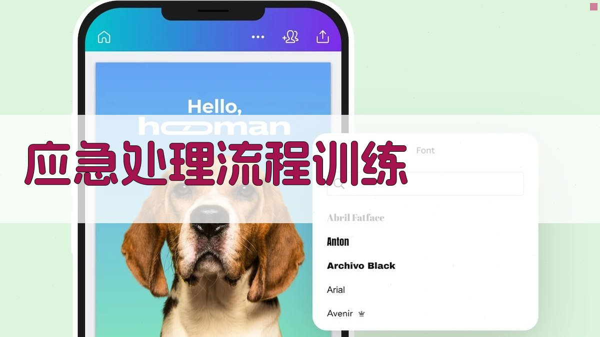应急处理流程训练 图2