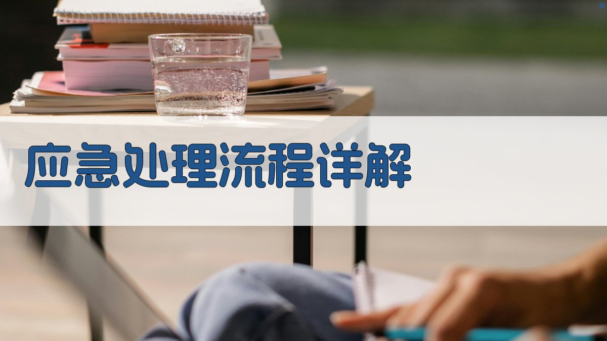 应急处理流程详解 图3