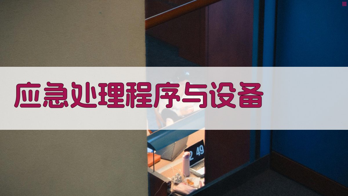 应急处理程序与设备 图2