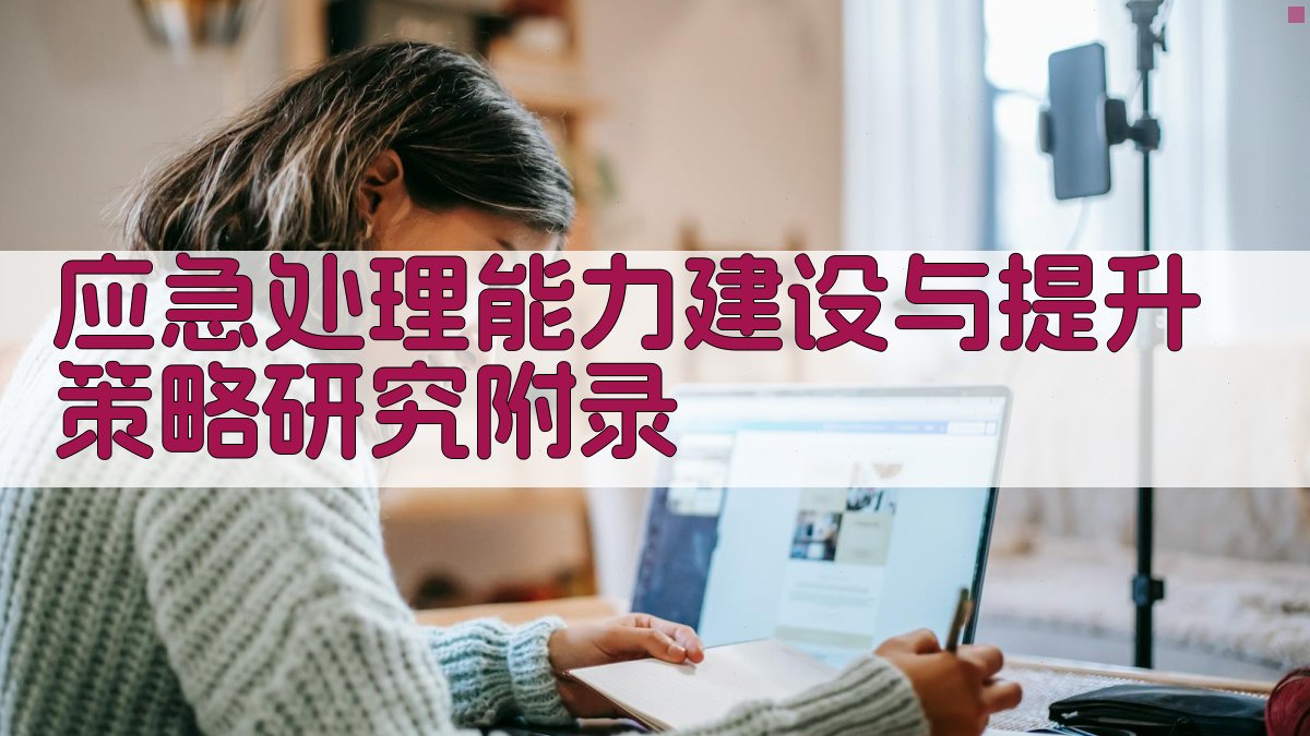 应急处理能力建设与提升策略研究 · 附录 图3