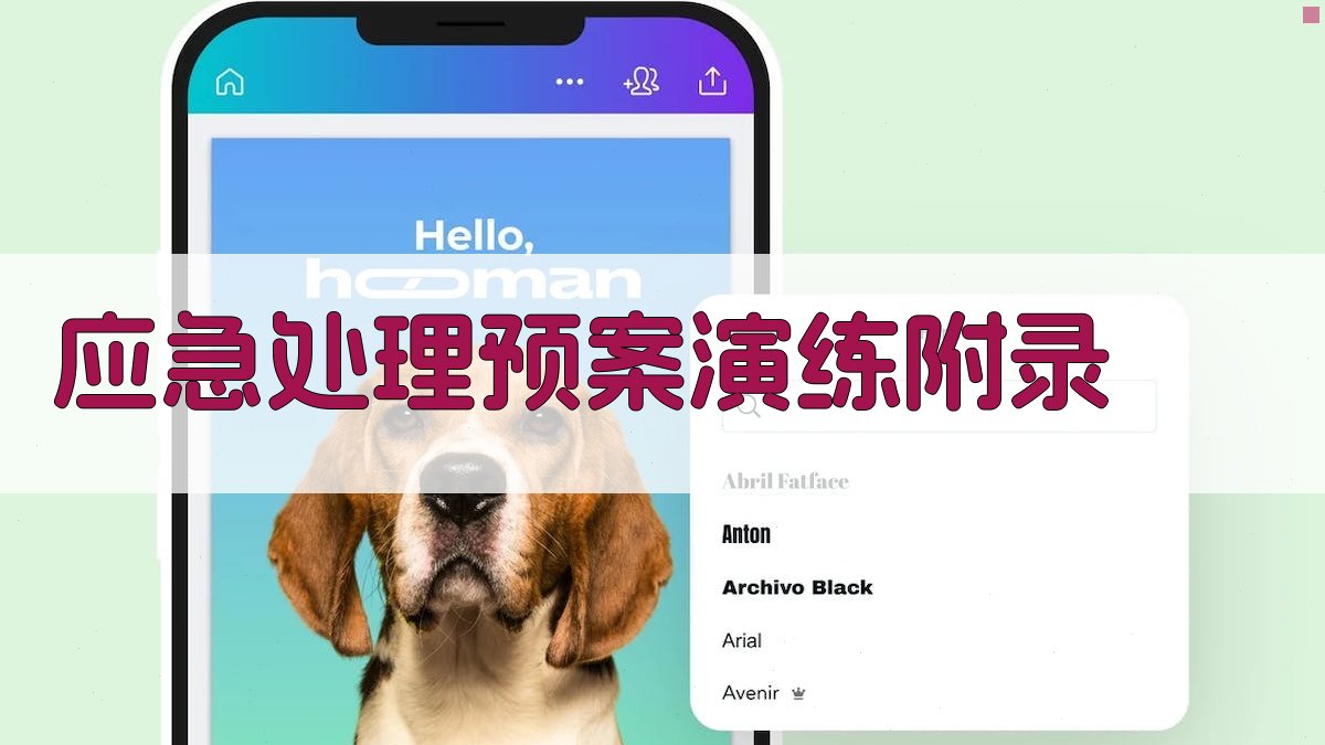 应急处理预案演练 · 附录 图5