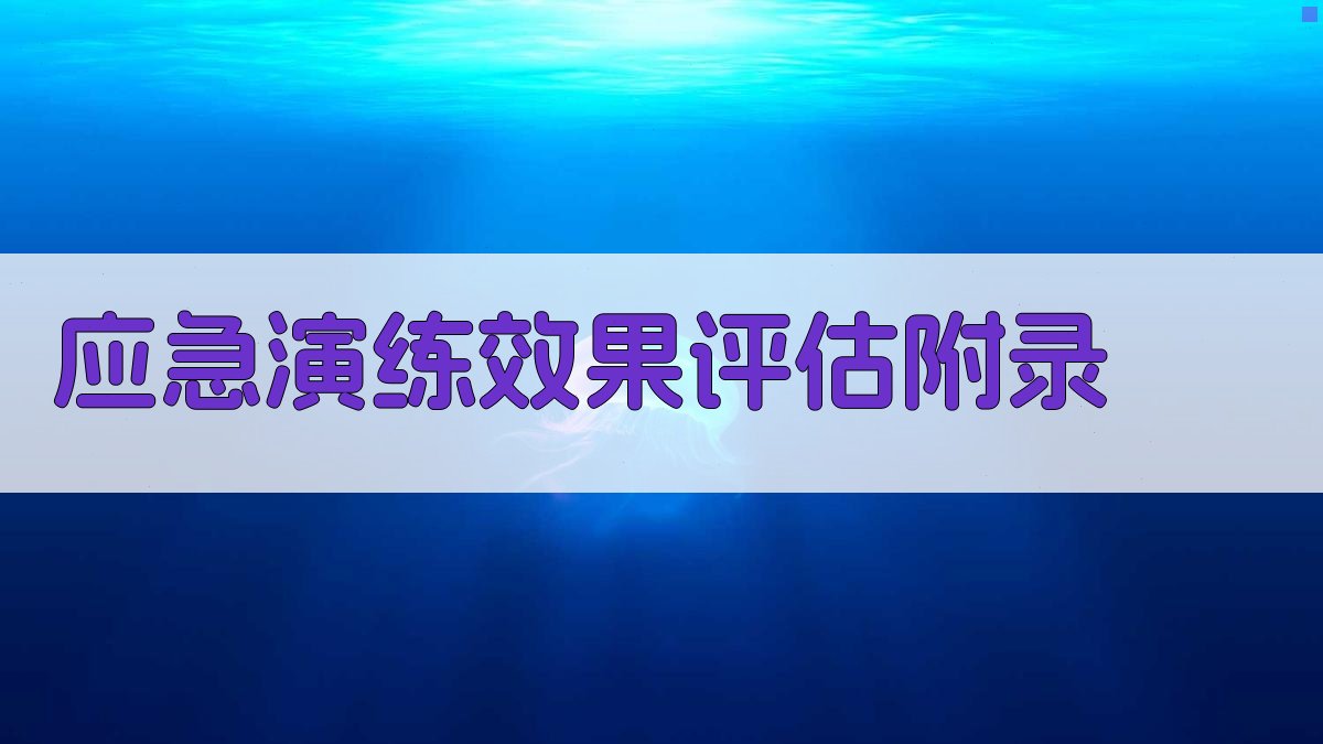 应急演练效果评估 · 附录 图4