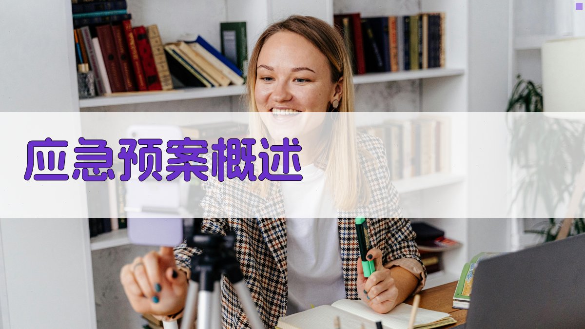 应急预案概述 图1