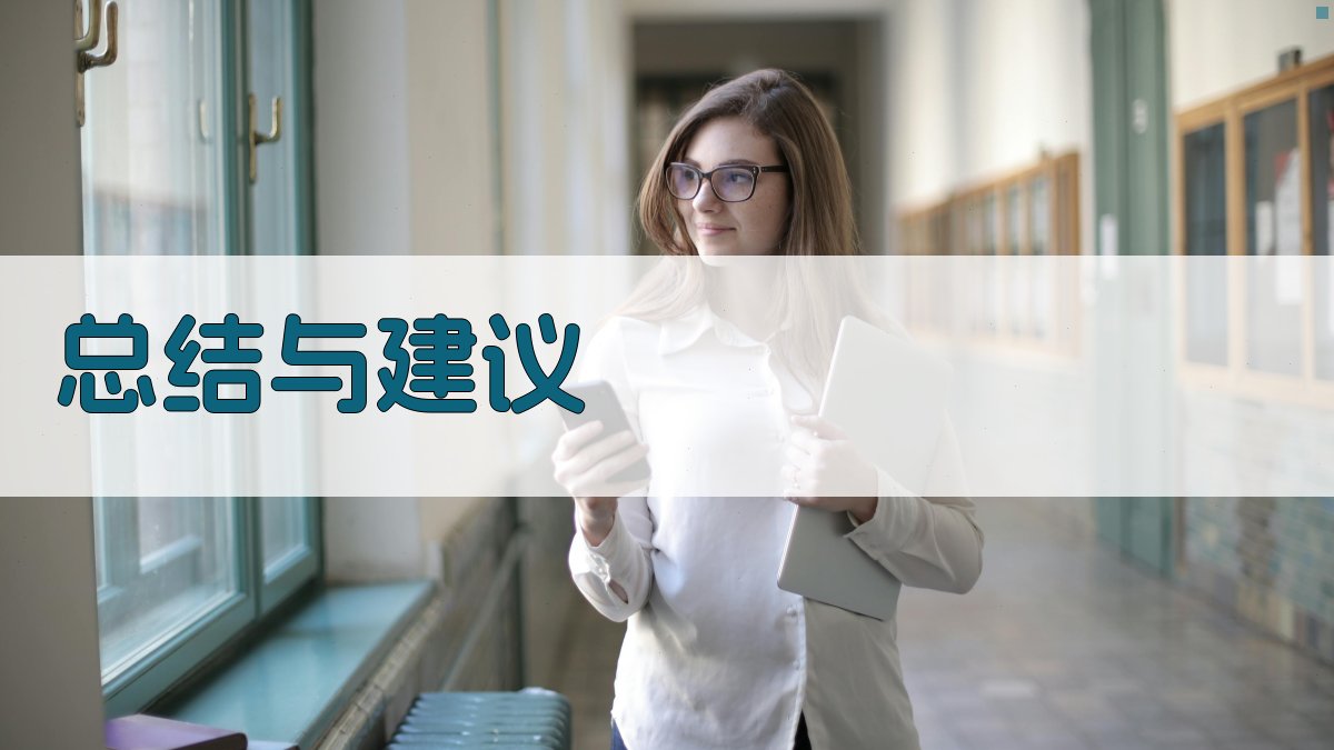 总结与建议 图4