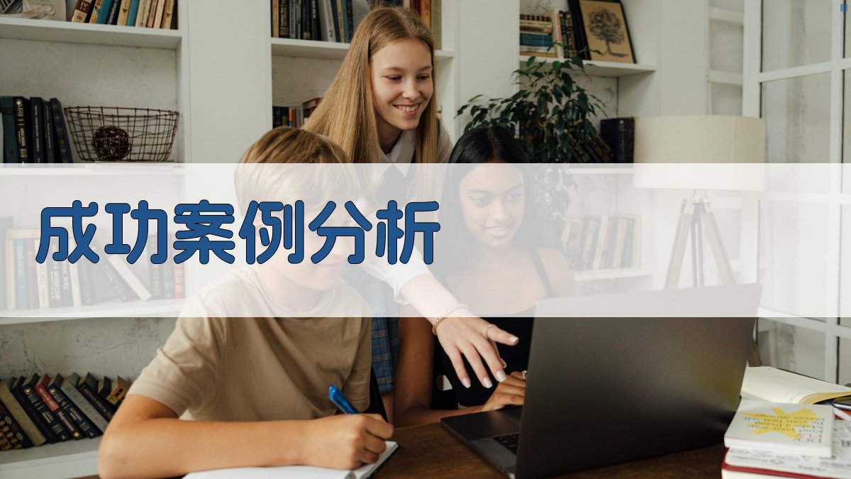 成功案例分析 图2