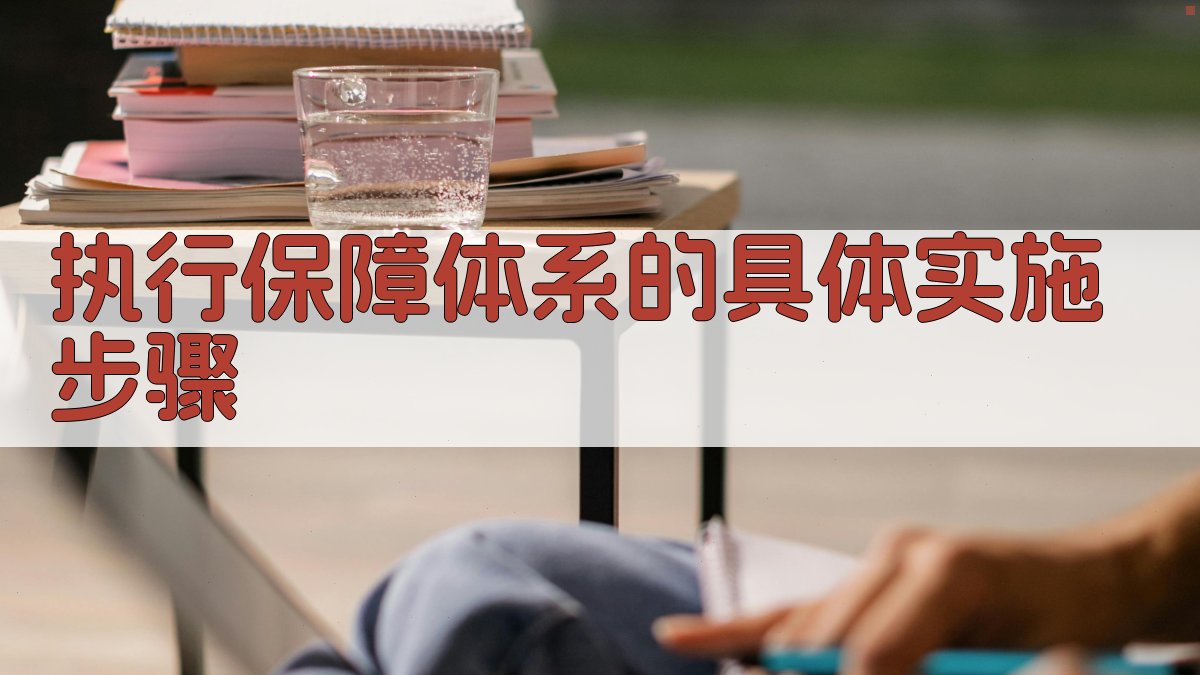 执行保障体系的具体实施步骤 图2