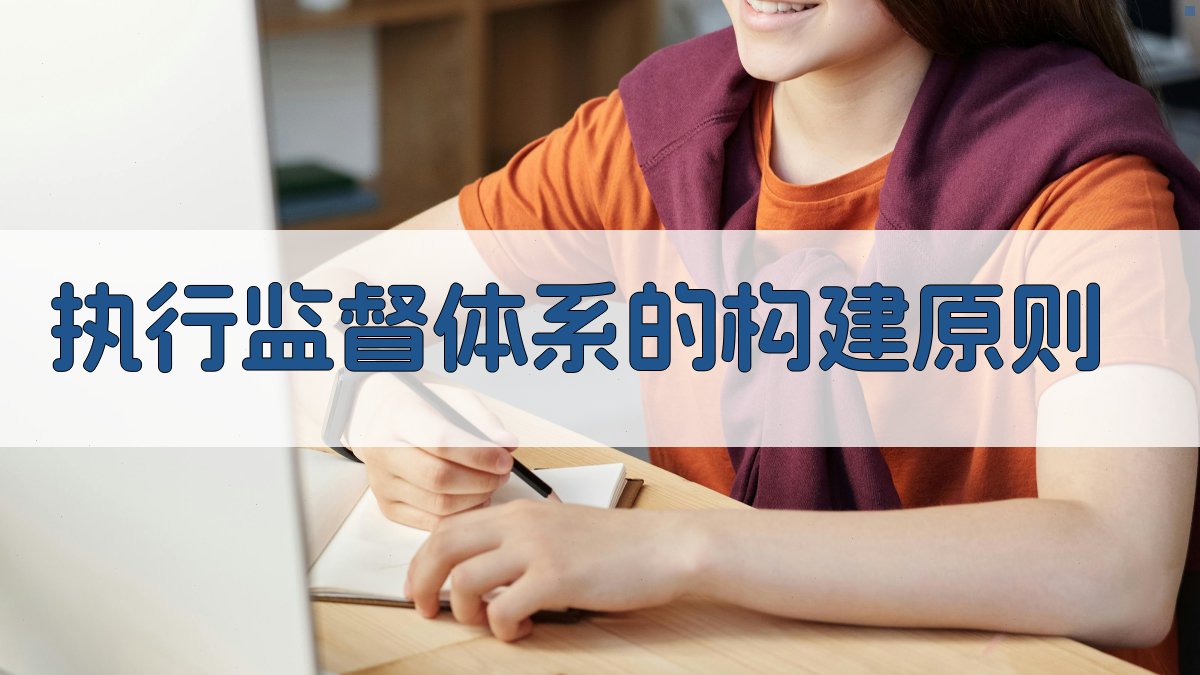 执行监督体系的构建原则 图2