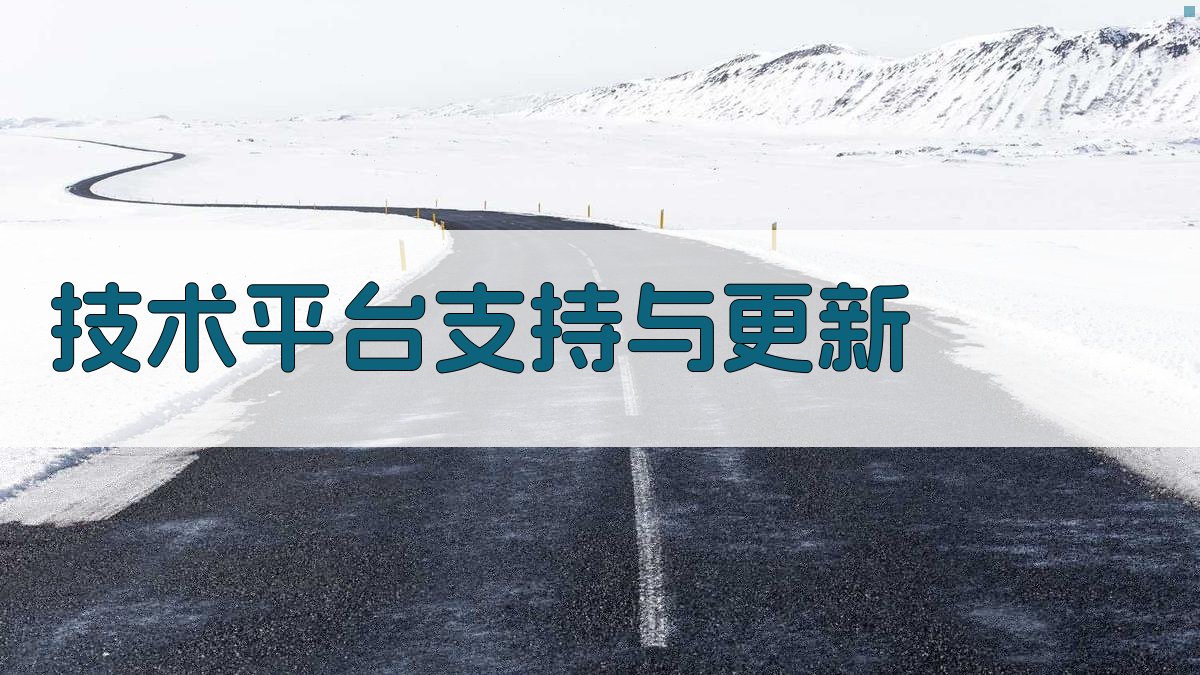 技术平台支持与更新 图3